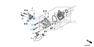 SH125SE SH125S UK - (E) drawing WATER PUMP