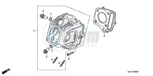 CRF50F9 Europe Direct - (ED) drawing CYLINDER HEAD