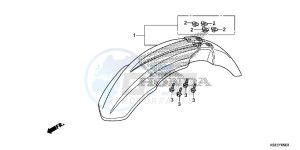 CRF150RBE CRF150RB Europe Direct - (ED) drawing FRONT FENDER