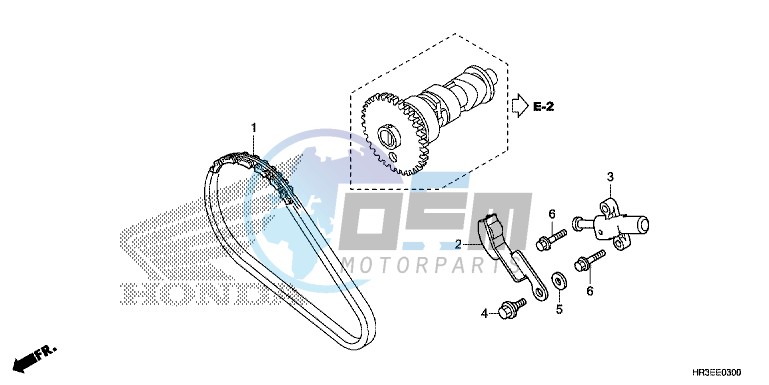 CAM CHAIN/TENSIONER