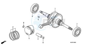 FES1259 France - (F / CMF) drawing CRANKSHAFT/PISTON