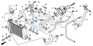 CBR125RW drawing RADIATOR (CBR125R/RS/RW5/RW6/RW8)