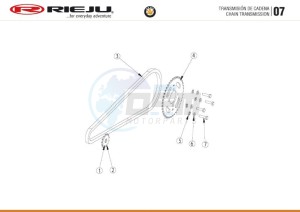 BYE-BIKE-EURO4-WHITE drawing CHAIN TRANSMISSION