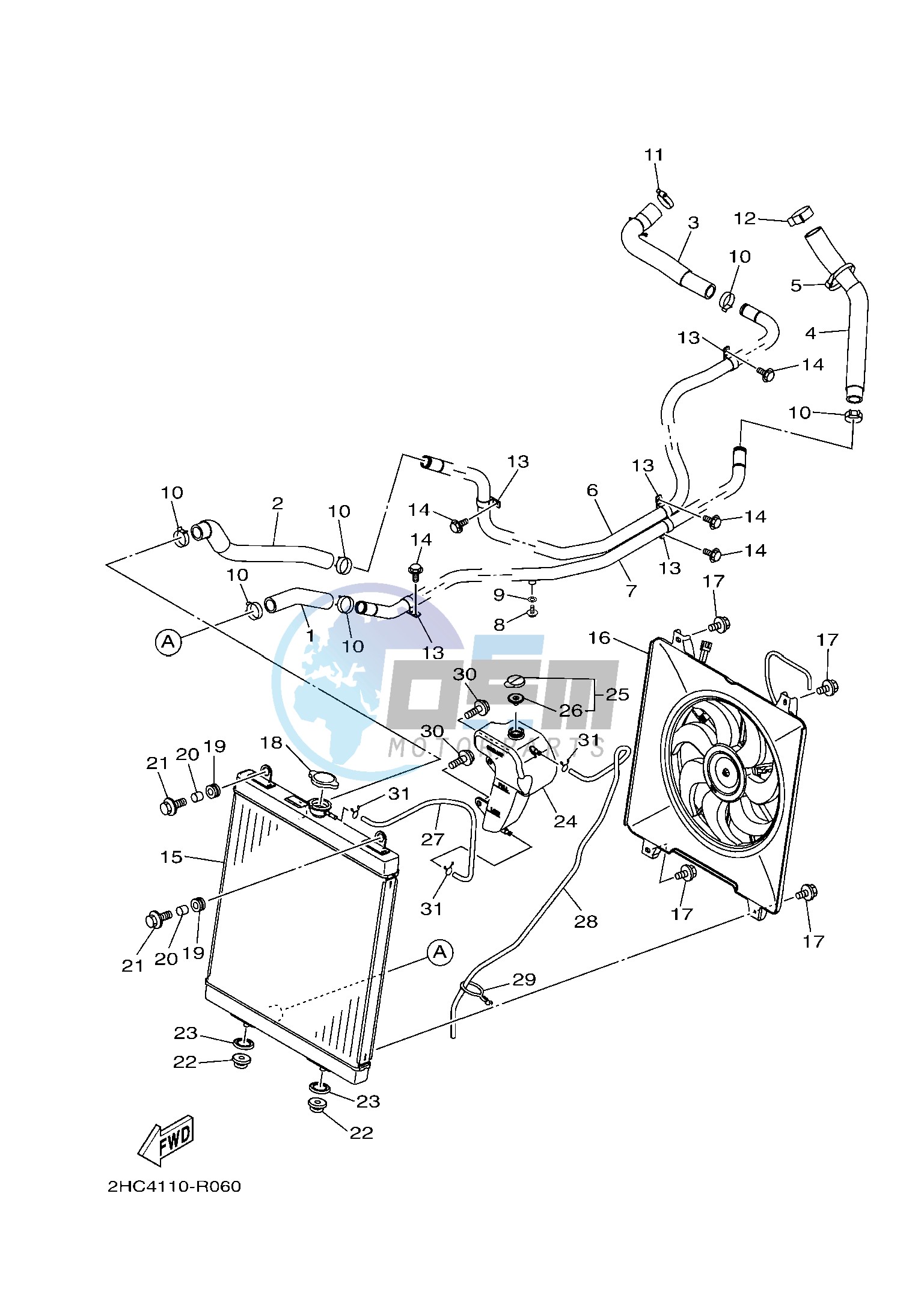 RADIATOR & HOSE