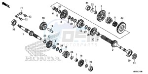 TRX250TMH Europe Direct - (ED) drawing TRANSMISSION