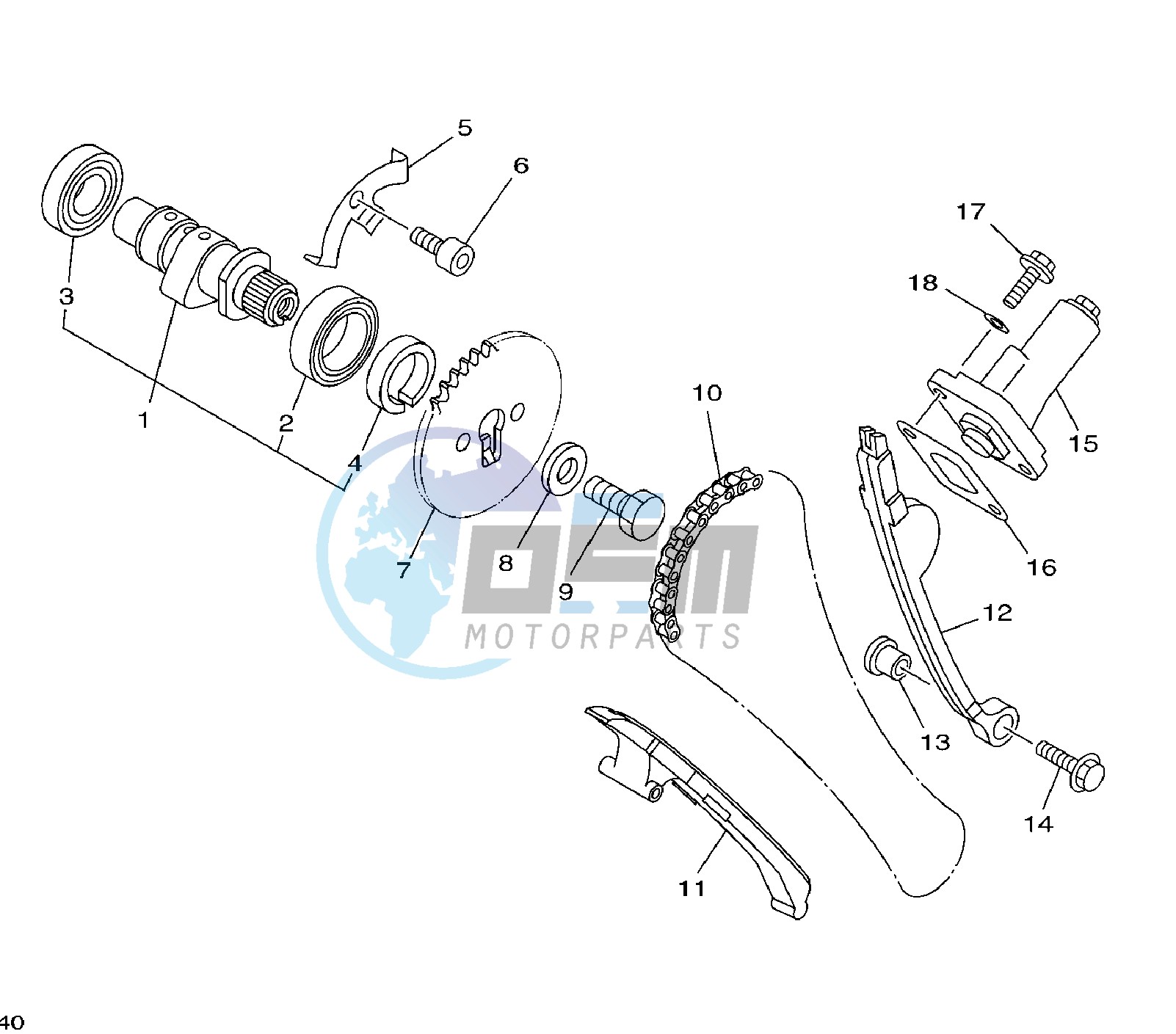 CAMSHAFT AND TIMING CHAIN