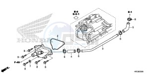 TRX420FA1E TRX420 Europe Direct - (ED) drawing WATER PUMP COVER