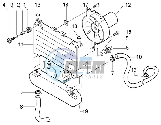 Radiator coolant