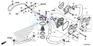 VFR1200XDH 2ED - (2ED) drawing WATER PUMP