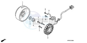 CBR125RW9 Germany - (G) drawing GENERATOR