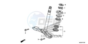 CB600FAD Hornet - CB600F ABS England - (3ED) drawing STEERING STEM