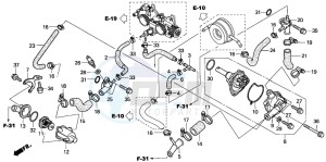 FJS600 SILVER WING drawing WATER PUMP