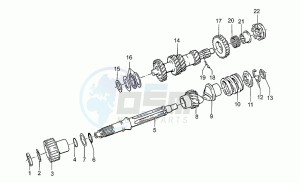 850 T5 Polizia - CC - PA - NC Polizia/CC/PA/NC drawing Gear box