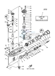 Z200NETOL drawing LOWER-CASING-x-DRIVE-1