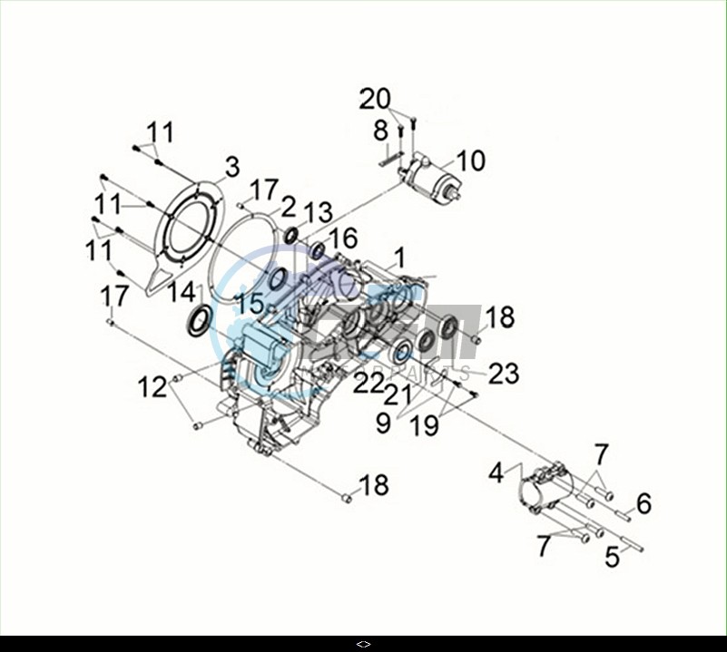 R. CRANK CASE / MAXSYM TL 508 (TL50W2-EU) (M2)