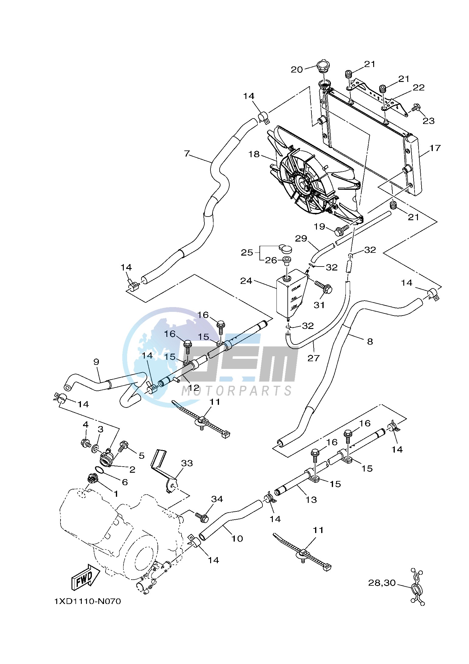 RADIATOR & HOSE