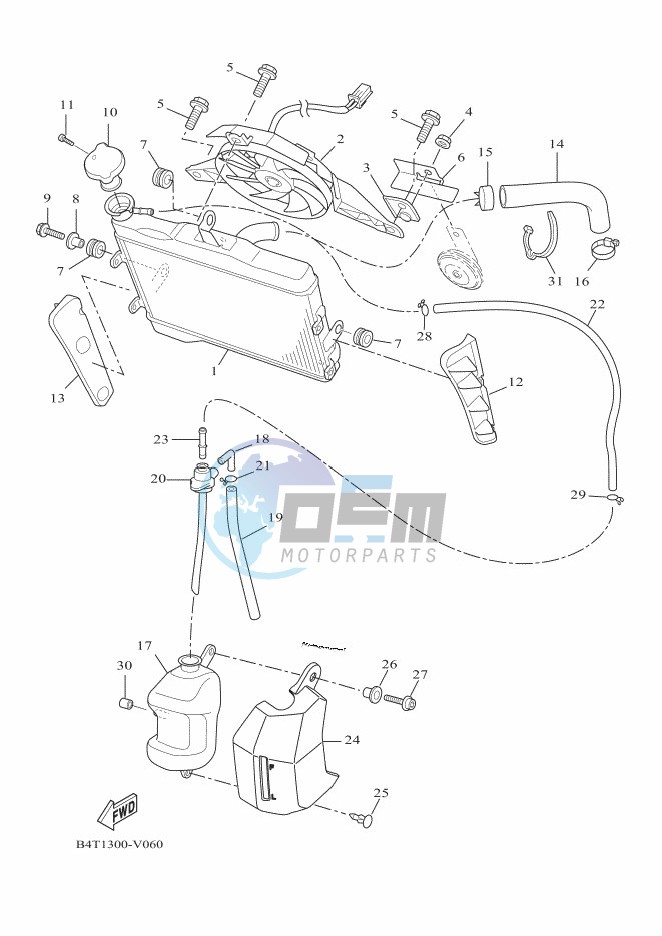 RADIATOR & HOSE