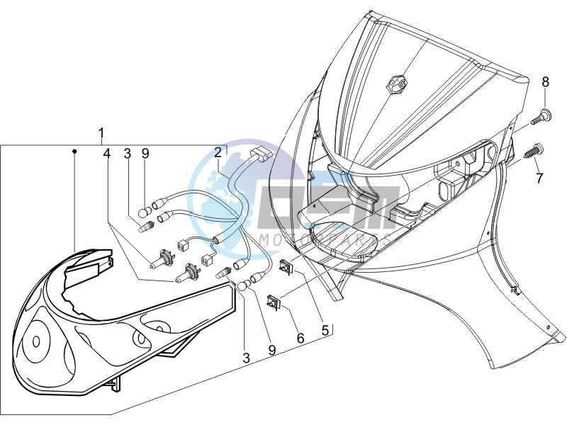 Head lamp - Turn signal lamps