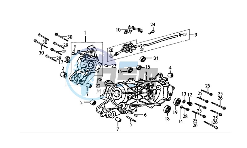 CRANKCASE L / R / STARTER