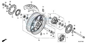 NC750XDE NC750XD Europe Direct - (ED) drawing REAR WHEEL