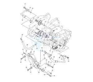 WR F 250 drawing OIL PUMP