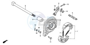 XL185S drawing REAR BRAKE PANEL