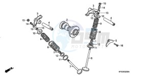 CRF230F9 Europe Direct - (ED / CMF) drawing CAMSHAFT/VALVE