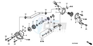 FES1509 Europe Direct - (ED) drawing WATER PUMP