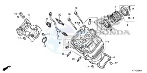 CBR125RF CBR125R 2ED - (2ED) drawing CYLINDER HEAD