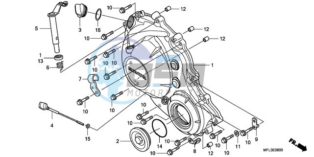 RIGHT CRANKCASE COVER