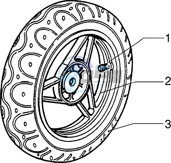 Front wheel