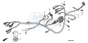 TRX250XC drawing WIRE HARNESS