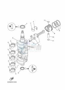 F50DET drawing CRANKSHAFT--PISTON