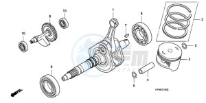 TRX420FE9 Australia - (U / 4WD) drawing CRANK SHAFT/PISTON