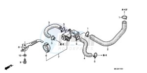 CBR600RA9 BR / ABS MME - (BR / ABS MME) drawing AIR INJECTION CONTROL VALVE