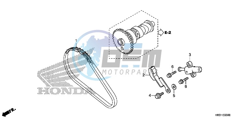 CAM CHAIN/TENSIONER