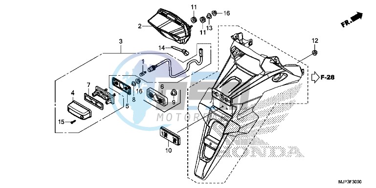 TAILLIGHT/LICENSE LIGHT