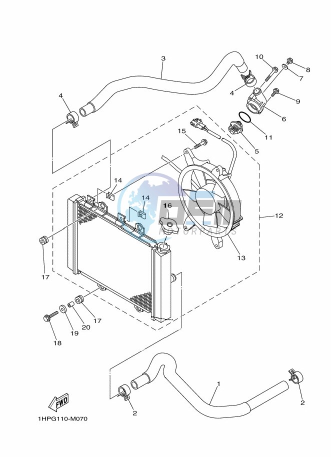 RADIATOR & HOSE