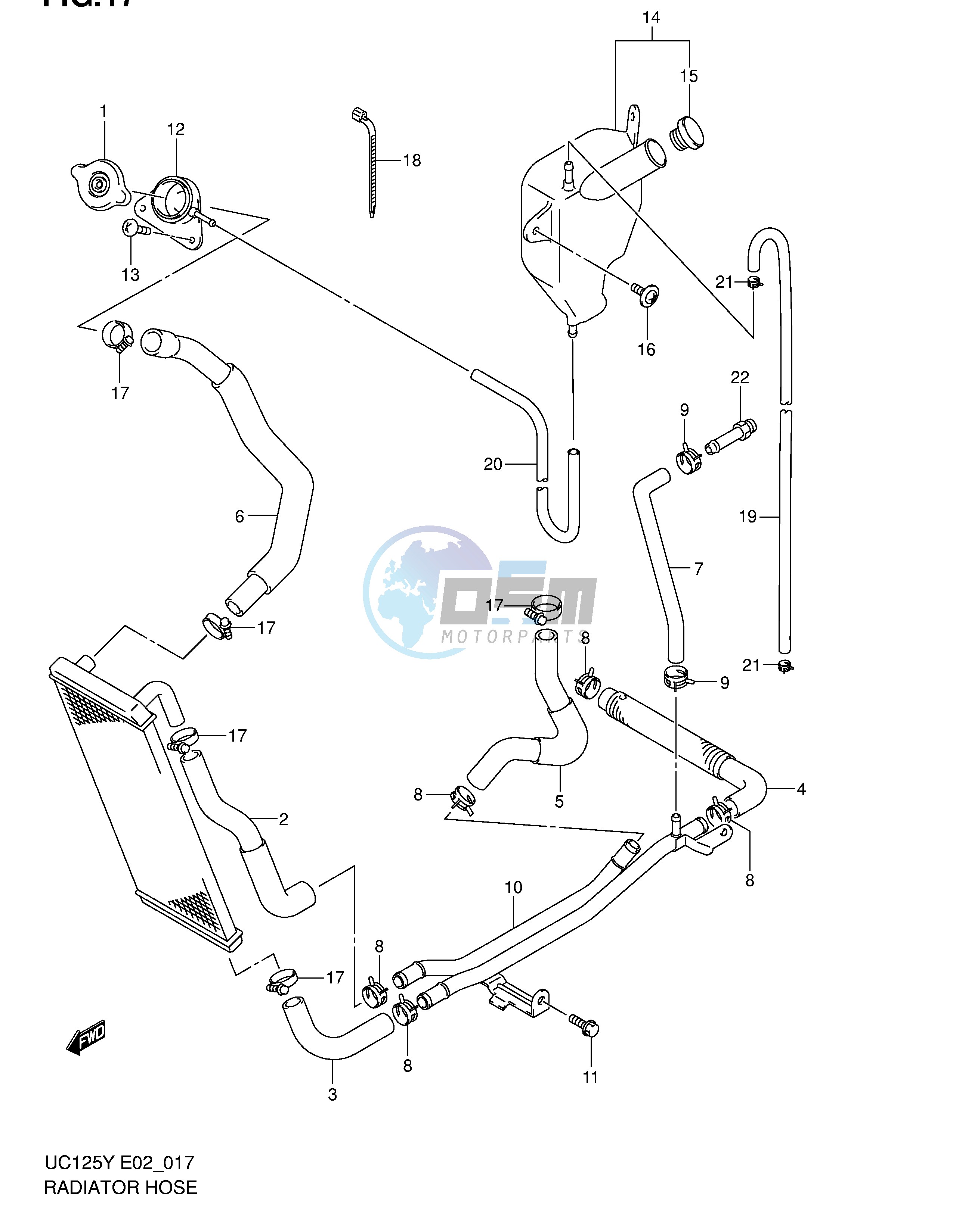 RADIATOR HOSE