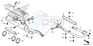 TRX250TEH Europe Direct - (ED) drawing MUFFLER