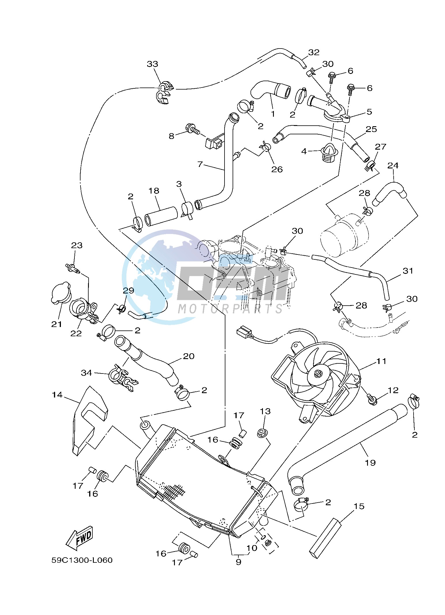 RADIATOR & HOSE