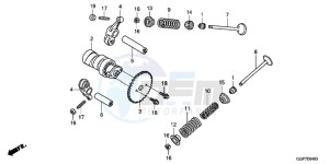 NSC50WHC drawing CAMSHAFT/VALVE