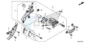 CRF450RE CRF450R Europe Direct - (ED) drawing REAR BRAKE CALIPER