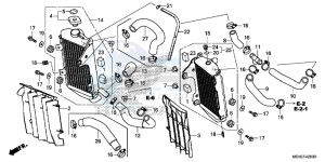 CRF450RE CRF450R Europe Direct - (ED) drawing RADIATOR