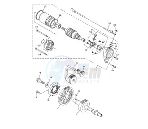 XV A MIDNIGHT STAR 1900 drawing STARTER