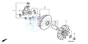 SH1509 Europe Direct - (ED) drawing DRIVE FACE