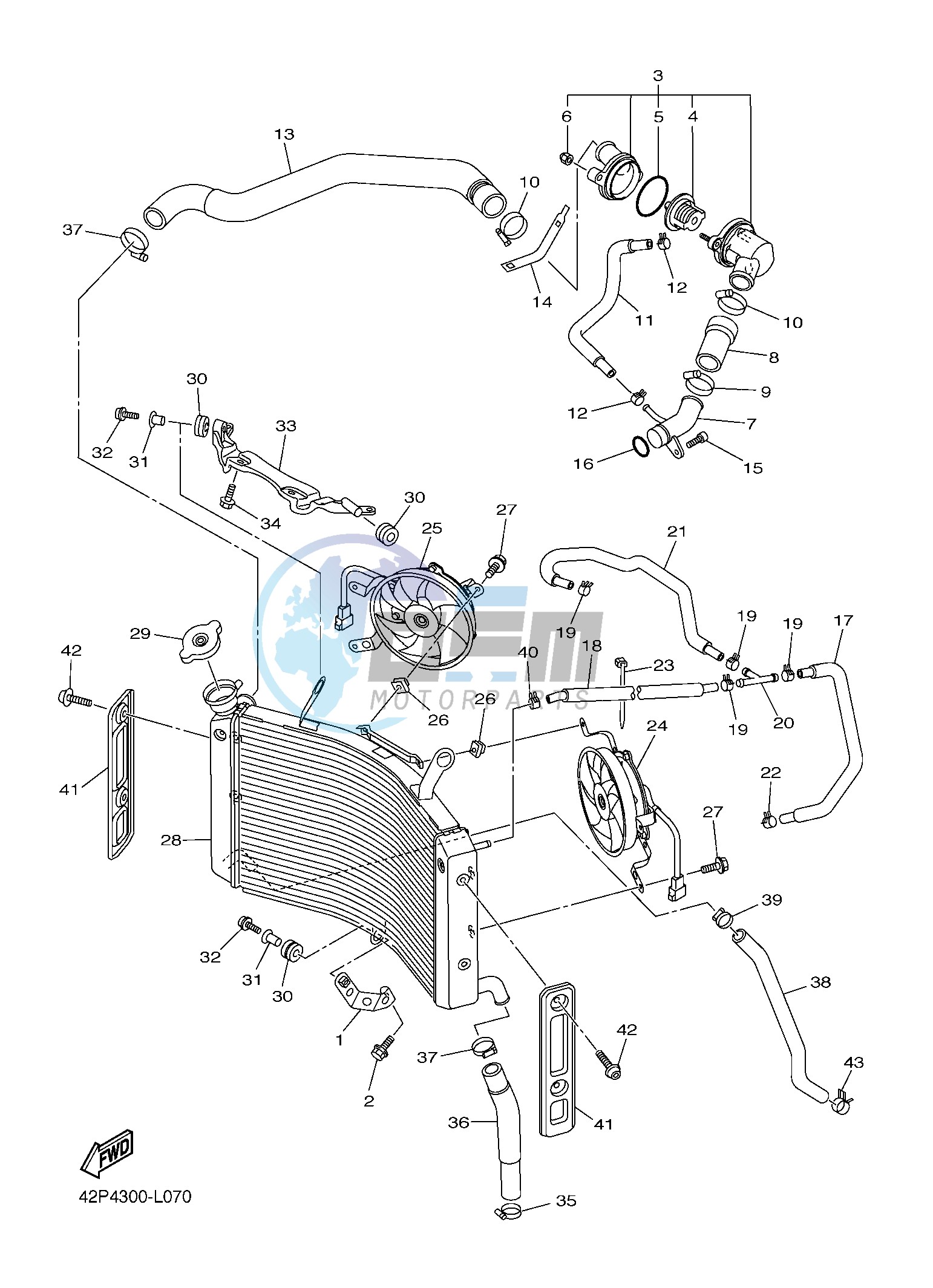 RADIATOR & HOSE