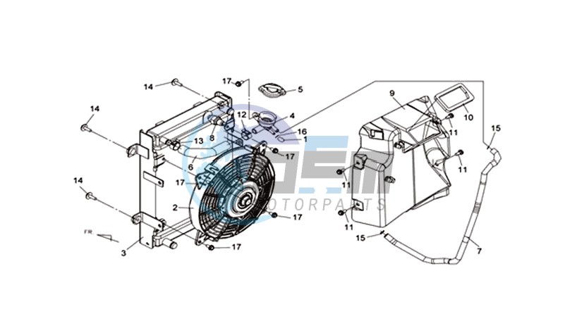 RADIATOR / HOSES