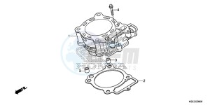 CRF150RE CRF150R Europe Direct - (ED) drawing CYLINDER