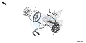 TRX250TEH Europe Direct - (ED) drawing GENERATOR